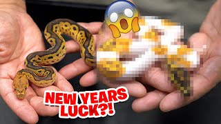 New Years Luck !! 2023