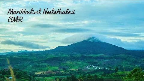 Marikkuliril Neelathulasi | Cover
