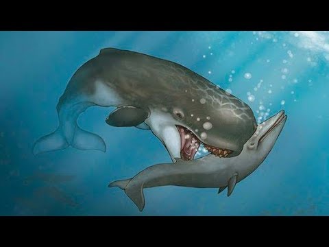 Livyatan - biblijny potwór morski i wymarły gatunek walenia