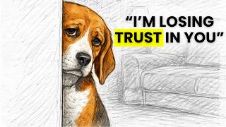 7 Mistakes That Make Your Dog Lose Trust In You