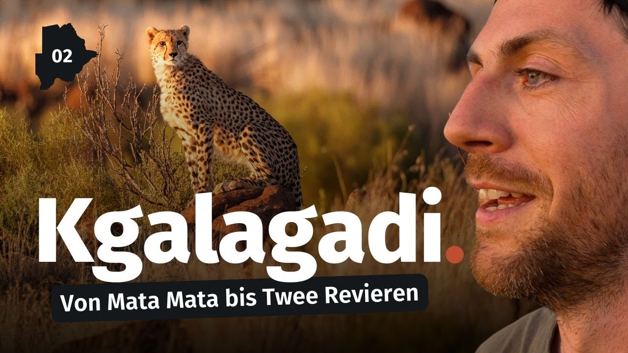 Kgalagadi Transfrontier Park 🇧🇼 - Geparden und weitere Highlights von Mata Mata bis Twee Rivieren