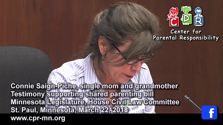 2018 MN Civil Law Hearing - Equal Shared Parenting...