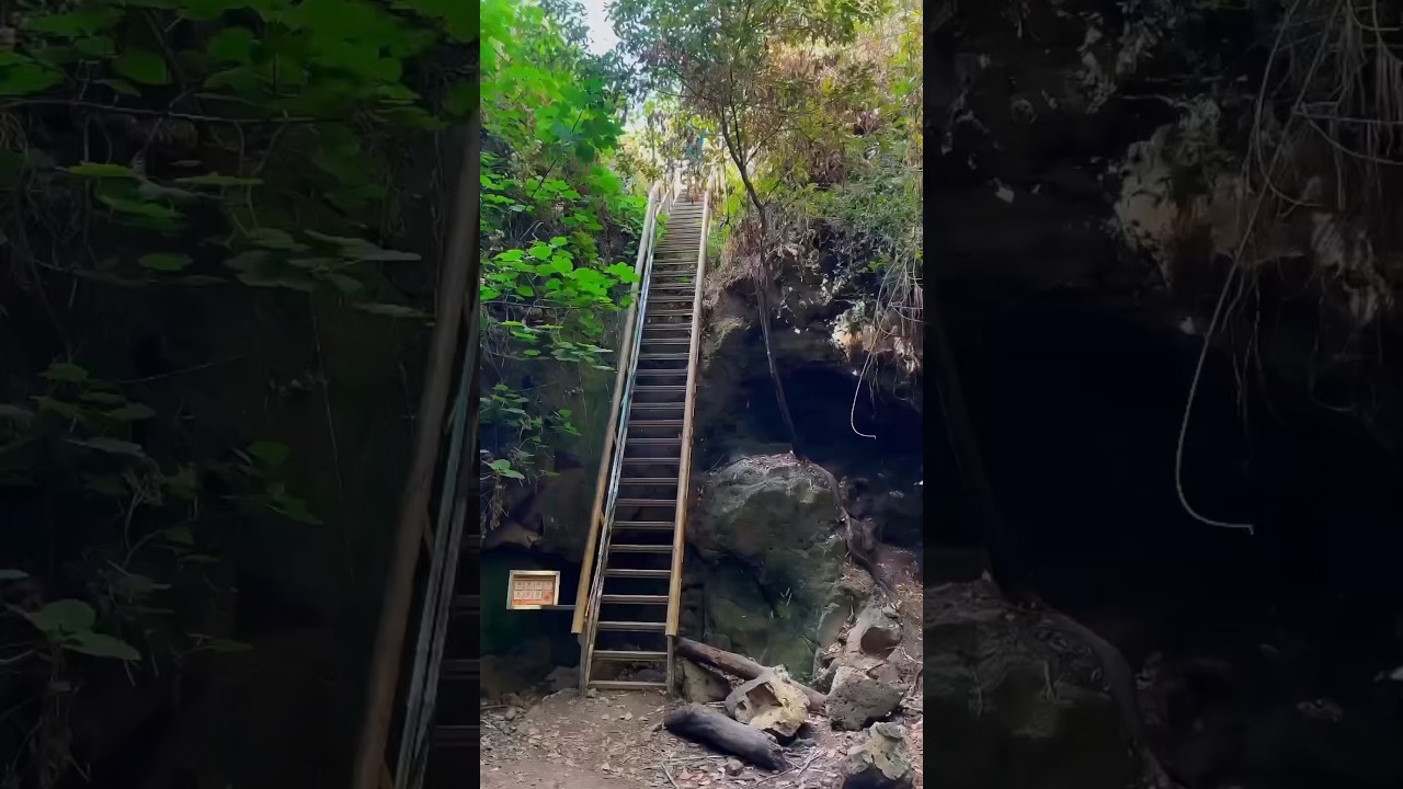 ¿Qué ver y hacer en Gran Canaria? | Sendero Las Escaleras #short #grancanaria