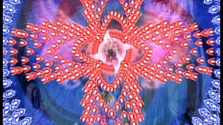 Touhou 8 ~ Imperishable Night  ~ Imperishable Shooting - Capture ~ Yukari
