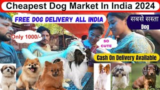 Cheapest dog Market in India 2024 | Upcoming Dog price list | Free dog delivery al India #dog #viral