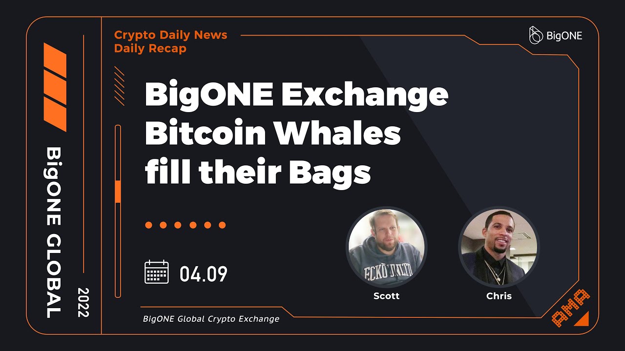BigONE Exchange: Bitcoin Whales fill their Bags