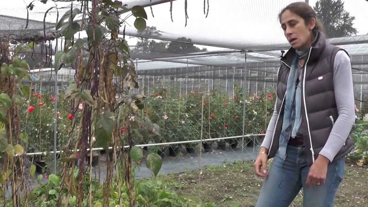 Horticultural Gardens Part 1