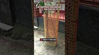 সবচেয়ে কম খরচে চারা গাছের জন্য বেড়া কি দিয়ে তৈরি করলে ভালো হবে #গাছের_বেড়া #বেড়া