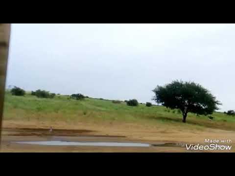 شمال كردفان حيث الطبيعة والجمال