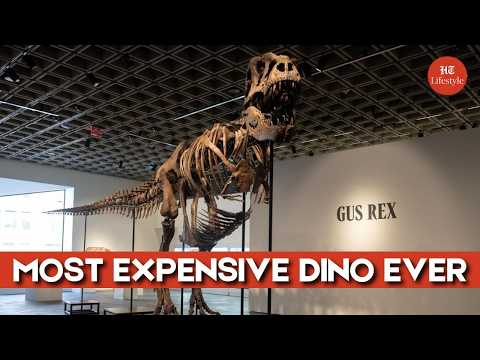 T. Rex Skeleton 'Gus' Sells For A Record-breaking $50.1 Million! | Lifestyle