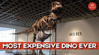 T. Rex Skeleton 'Gus' Sells For A Record-breaking $50.1 Million! | Lifestyle