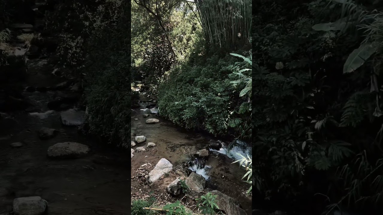 River Side Guest Houses 🏠 Dickoya Very Beautiful Luxury Rooms Room with Hat water 🚿 #guesthouse