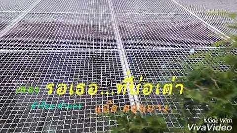 รอเธอ...ที่บ่อเต่า   แอ๊ด ดอนยาง