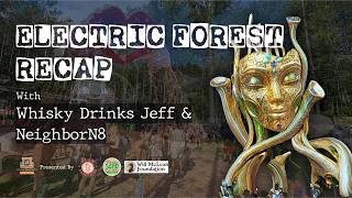 Electric Forest 2026 Recap — A Serious Discussion on Safety at Large Festivals