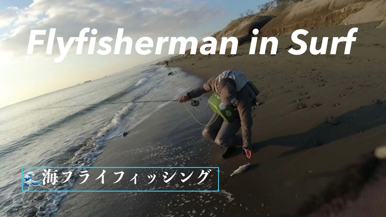 Flyfisherman in Surf【フライフィッシング】サーフの釣り YouTube