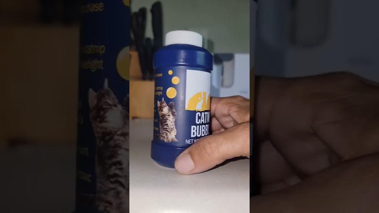 Bubbles made of catnip?? 