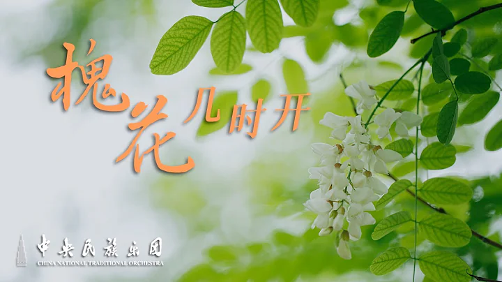 Sichuan Folk Song : When Will the Pagoda Tree Bloom? | China National Traditional Orchestra - DayDayNews