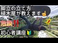 園芸脚立の安全な使い方を植木屋が教えます☝️【初心者講座🔰】