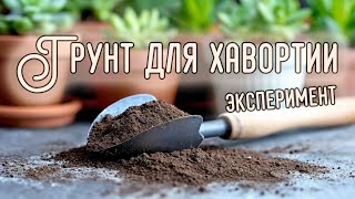 видео: Грунт для хавортий (эксперимент) картинка: Грунт для хавортий (эксперимент)