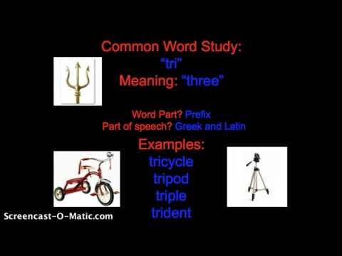 Common Word Study: tri