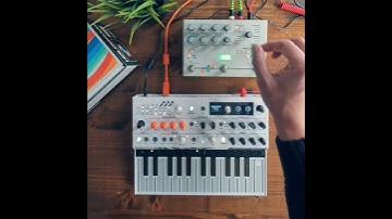 Arturia Minifreak & Hologram Microcosm / Ambient Jam
