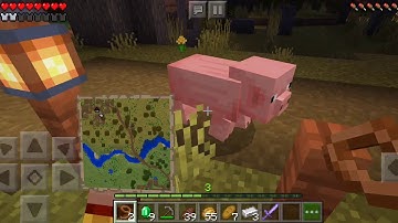 The Wandering Trader - Part 2