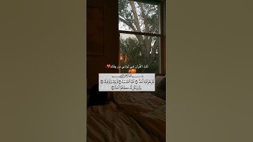 سورة الاخلاص القارئ ماهر المعيقلي ماتيسر من القرآن الكريم #اذكار #اكسبلور #تذكار #المصحف #قران_كريم
