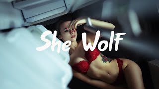 2Scratch - She Wolf ft. LIONAIRE [Lyrics]