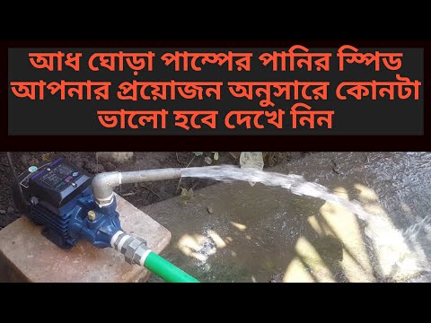 ভিডিও: কিভাবে ঘোড়া বাড়াতে হয়