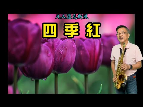 四季紅(四季謠)-朝陽薩克斯風