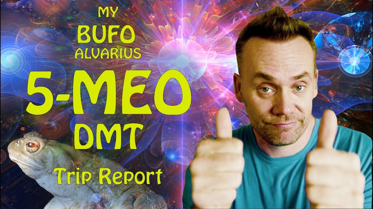 My Bufo Alvarius 5 MEO DMT Trip Report Riding The Toad Experience my-bufo-alvarius-5-meo-dmt-trip-report-riding-the-toad-experience