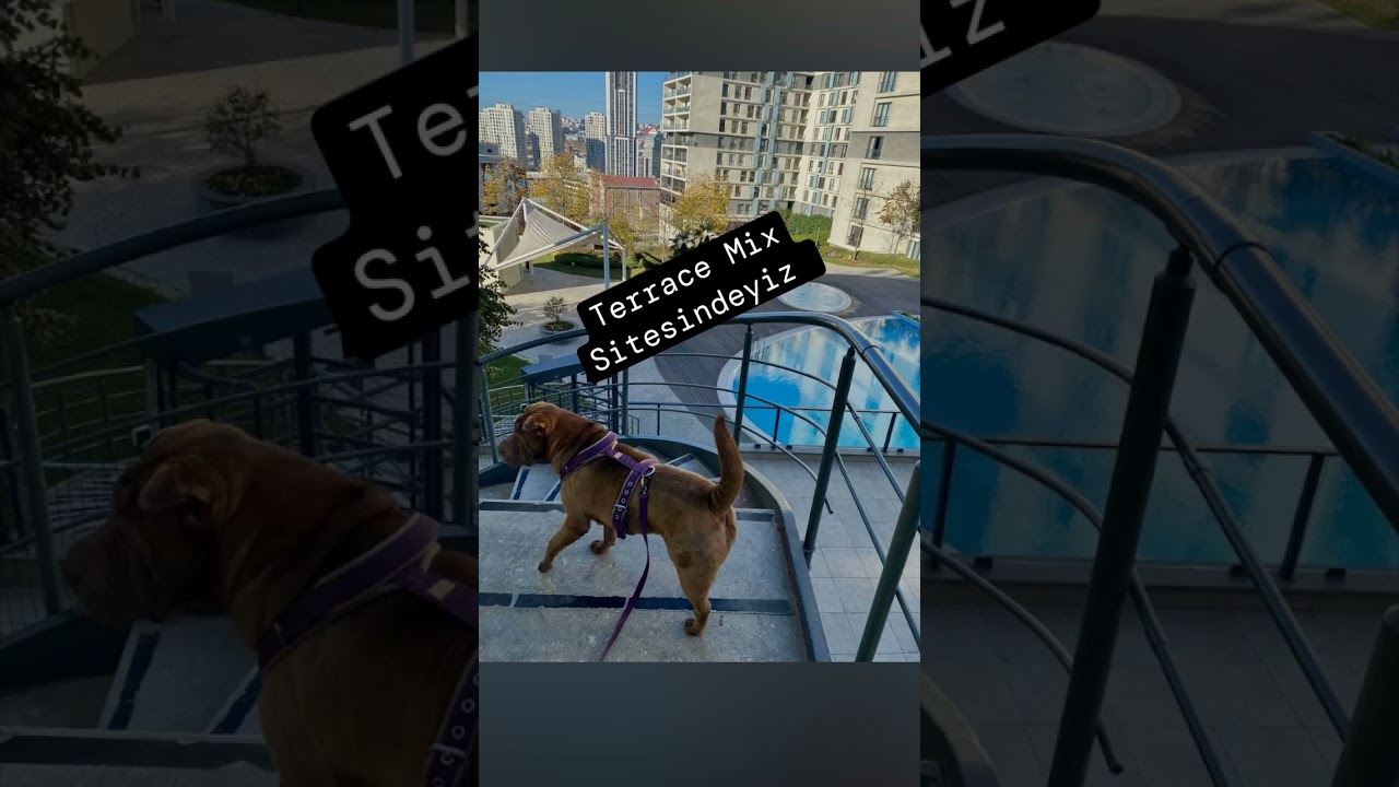 Terrace Mix Sitesi'ndeyiz.
