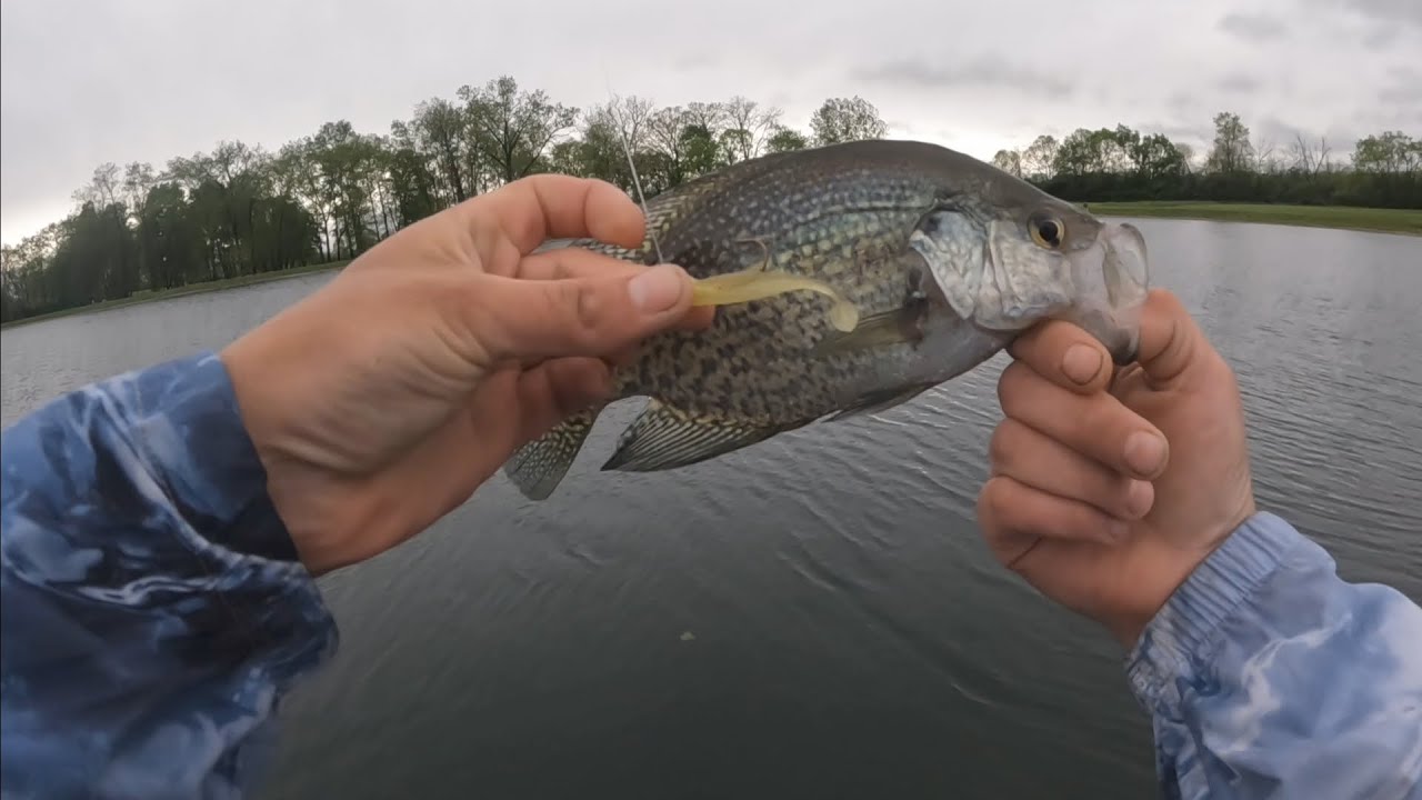 Jigging the Keitech swimbait.