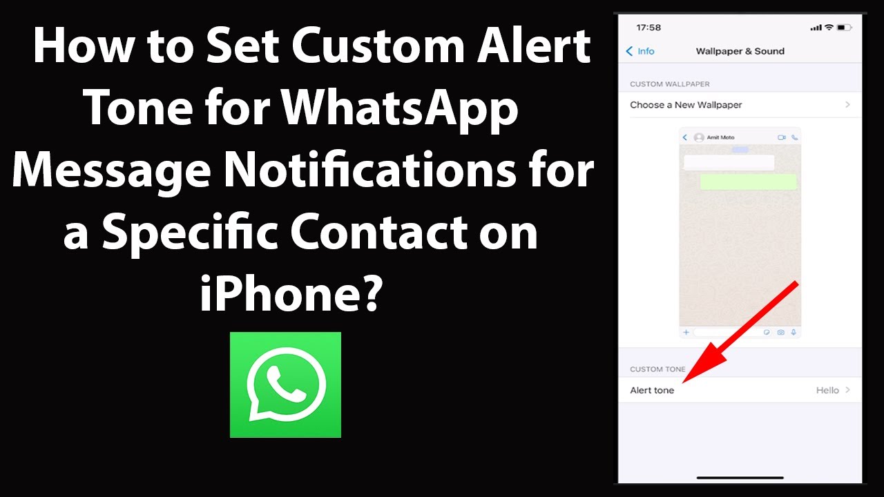 How to Set Custom Alert for WhatsApp Message for a Specific on iPhone? - YouTube