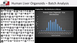 Flow Cytometry for Intact 3D Biology - Overview