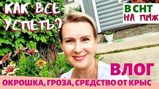 ВЛОГ | Окрошка. Гроза. Средство от крыс. Как все успеть?