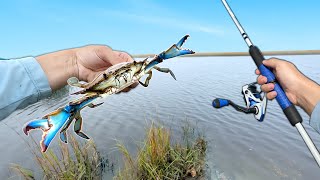 Eating Whatever I Catch! (Catch and Cook) Crabbing & Fishing!