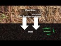 Formation of soil organic matter via biochemical and physical pathways of litter mass loss