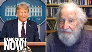 Noam Chomsky: Under Trump's tinpot dictatorship, corporate power rules all