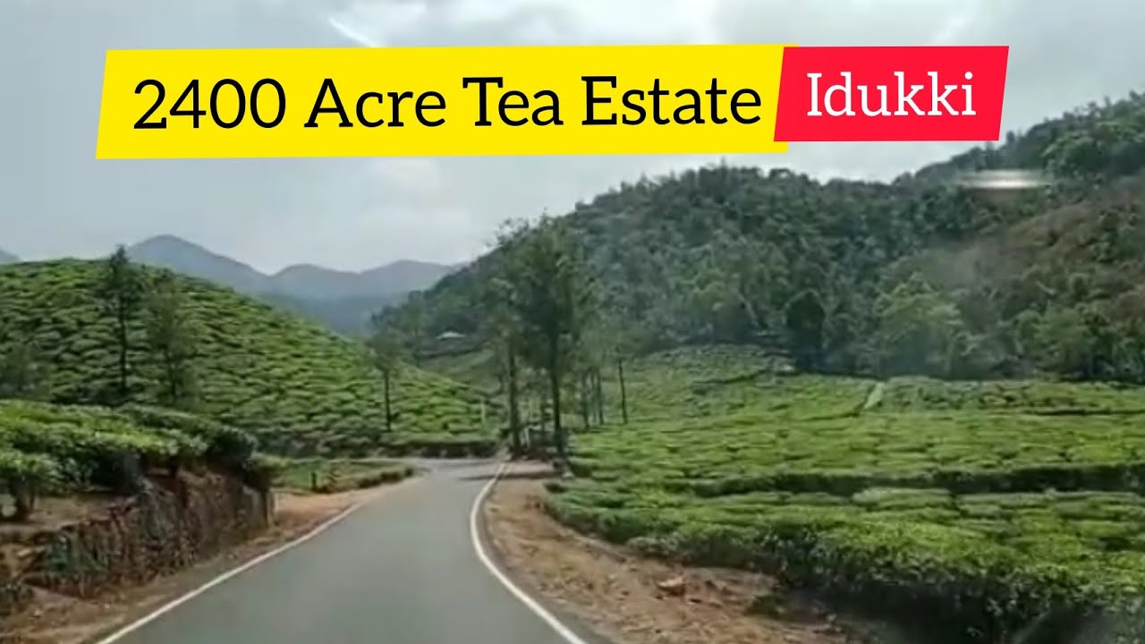 2400 Acre Tea Estate For Sale | Idukki (300 Cr)