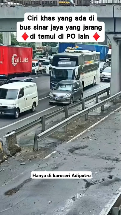 inilah cirikhas bus sinar jaya yang jarang di temui di PO bus lain ‼️ #bus #sinarjaya #busmania
