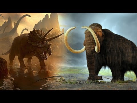 Video: Ar mamutai buvo šalia dinozaurų?