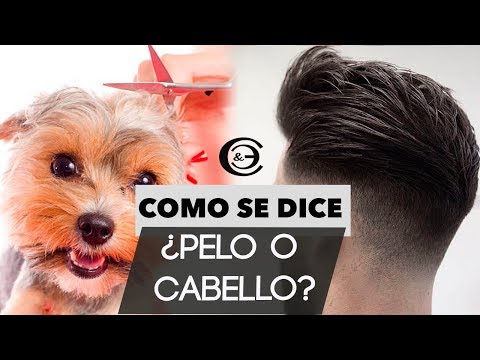 Como se dice ¿PELO O CABELLO? Cuál es la diferencia • Teorías y Mitos | Consejos Corte y Estilo