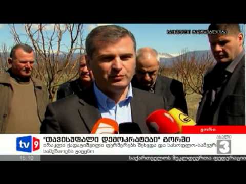 ახალი 3 | დემოკრატები გორში | 30.03.13