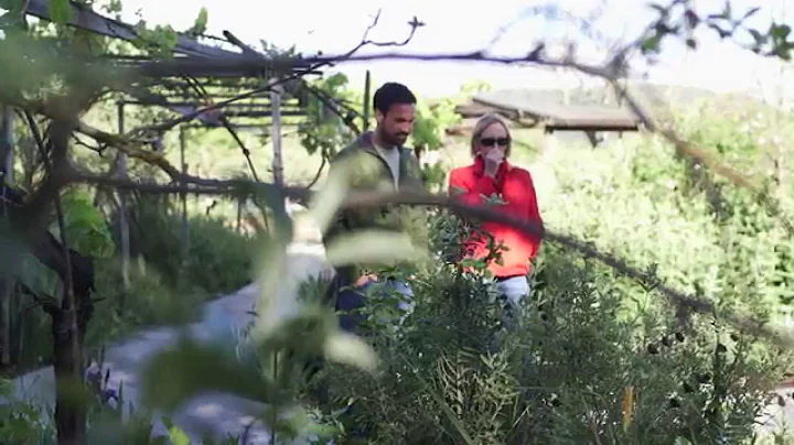 50 Fund Playmaker: Susan Angell and Sonoma Ecology...
