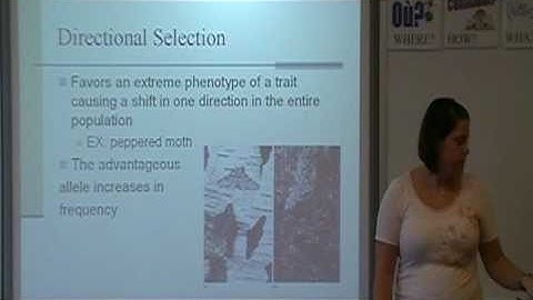 M.Cosgrove Evolution Teaching Demonstration