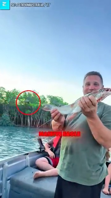 Immediately Snatched by an Eagle😱🦅