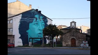 Camino de Santiago (Sarria- Casa Morgade, A Pinza ).