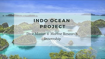 Indo Ocean Project Dive Master Internship - 2025