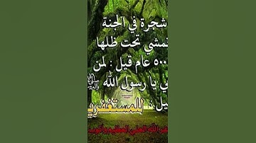 #عبدالعزيز_سحيم #تلاوات_خاشعة #سورة_يوسف #اكسبلور #yasseraldossary #elmulquranعلم #تيك_توك